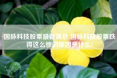 国脉科技股票最新消息(国脉科技股票跌得这么惨的原因是什么)