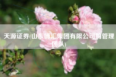 天源证券(山东博汇集团有限公司的管理团队)