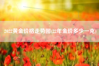 2022黄金价格走势图(22年金价多少一克)