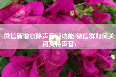 微信新增删除声音锁功能(微信群如何关闭艾特声音)