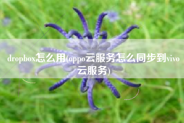 dropbox怎么用(oppo云服务怎么同步到vivo云服务)