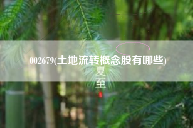 002679(土地流转概念股有哪些)