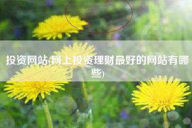 投资网站(网上投资理财最好的网站有哪些)
