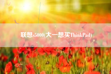 联想s5000(大一想买ThinkPad)