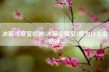 冰箱冷藏室结冰(冰箱冷藏室3度为什么会结冰)
