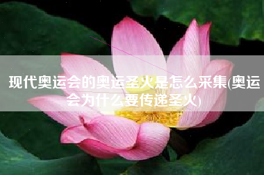 详细阅读:现代奥运会的奥运圣火是怎么采集(奥运会为什么要传递圣火) 现代奥运会的奥运圣火是怎么采集(奥运会为什么要传递圣火)