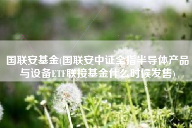 国联安基金(国联安中证全指半导体产品与设备ETF联接基金什么时候发售)