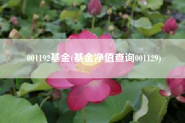 001192基金(基金净值查询001129)