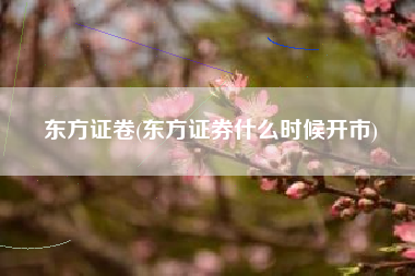 东方证卷(东方证券什么时候开市)