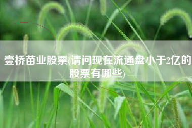 壹桥苗业股票(请问现在流通盘小于2亿的股票有哪些)