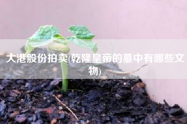 大港股份拍卖(乾隆皇帝的墓中有哪些文物)