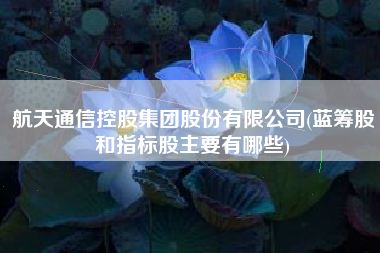航天通信控股集团股份有限公司(蓝筹股和指标股主要有哪些)