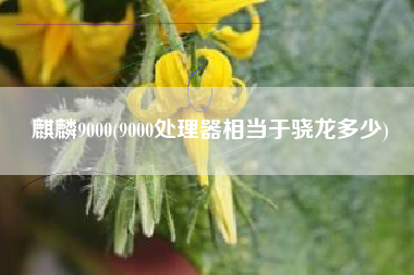 麒麟9000(9000处理器相当于骁龙多少)