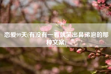 恋爱99天(有没有一看就笑出鼻涕泡的那种文案)