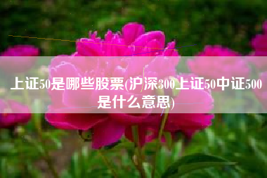 上证50是哪些股票(沪深300上证50中证500是什么意思)