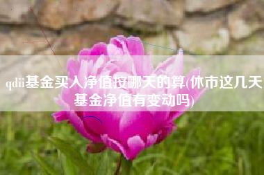 qdii基金买入净值按哪天的算(休市这几天基金净值有变动吗)