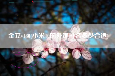 金立v180(小米10的外观排名多少合适)