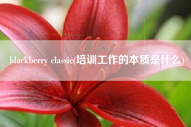 blackberry classic(培训工作的本质是什么)