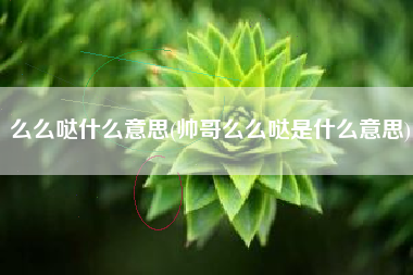 么么哒什么意思(帅哥么么哒是什么意思)