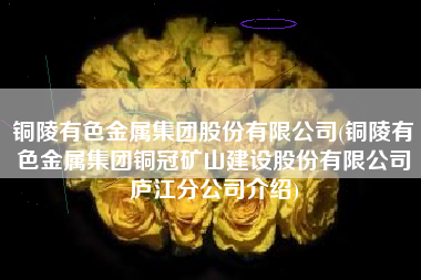 铜陵有色金属集团股份有限公司(铜陵有色金属集团铜冠矿山建设股份有限公司庐江分公司介绍)