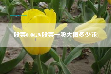股票000629(股票一股大概多少钱)