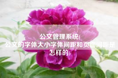 公文管理系统(
公文的字体大小字体间距和页面间距是怎样的) 公文管理系统(
公文的字体大小字体间距和页面间距是怎样的)