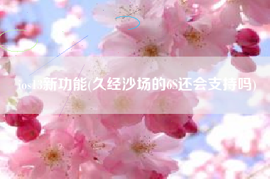 ios13新功能(久经沙场的6S还会支持吗)