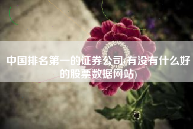 中国排名第一的证券公司(有没有什么好的股票数据网站)