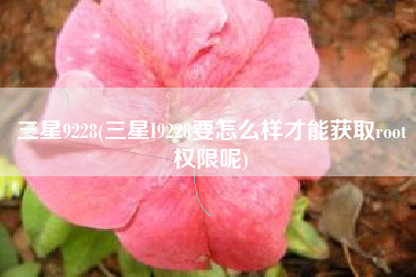 三星9228(三星I9228要怎么样才能获取root权限呢)