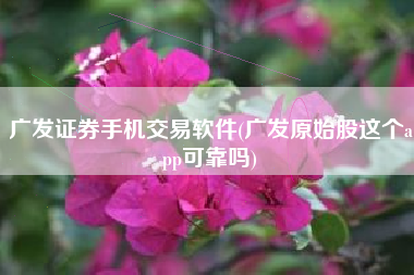 广发证券手机交易软件(广发原始股这个app可靠吗)