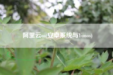 阿里云os(安卓系统与Yunos)