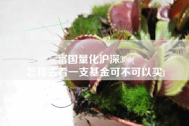 富国量化沪深300(
怎样去看一支基金可不可以买) 富国量化沪深300(
怎样去看一支基金可不可以买)
