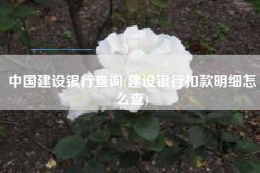 中国建设银行查询(建设银行扣款明细怎么查)