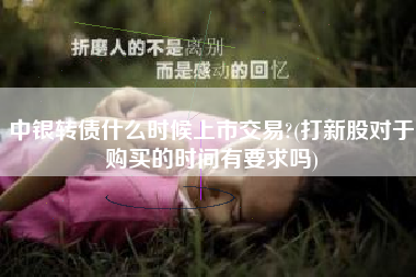 中银转债什么时候上市交易?(打新股对于购买的时间有要求吗)