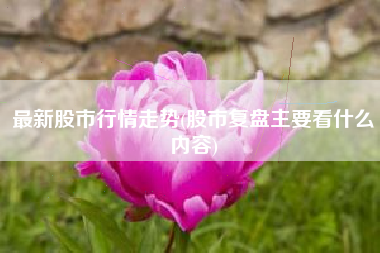 最新股市行情走势(股市复盘主要看什么内容)