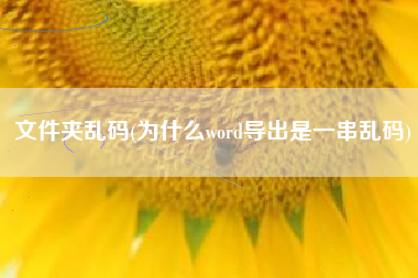 文件夹乱码(为什么word导出是一串乱码)