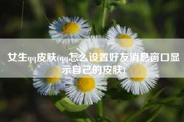 女生qq皮肤(qq怎么设置好友消息窗口显示自己的皮肤)