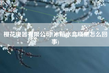 樱花电器有限公司(冰箱水盒烧焦怎么回事)