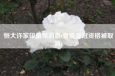 恒大许家印最新消息(鲁能亚冠资格被取消)