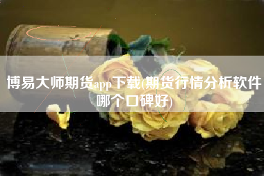 博易大师期货app下载(期货行情分析软件哪个口碑好)