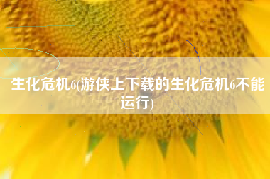 生化危机6(游侠上下载的生化危机6不能运行)