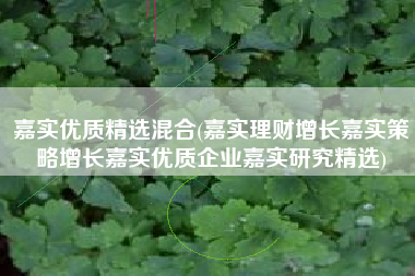 嘉实优质精选混合(嘉实理财增长嘉实策略增长嘉实优质企业嘉实研究精选)