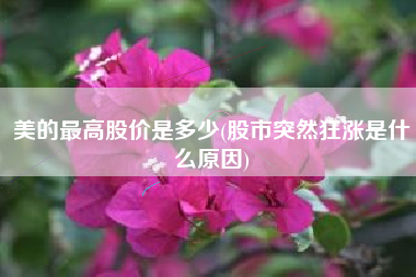 美的最高股价是多少(股市突然狂涨是什么原因)