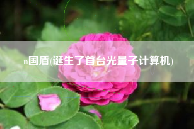 n国盾(诞生了首台光量子计算机)