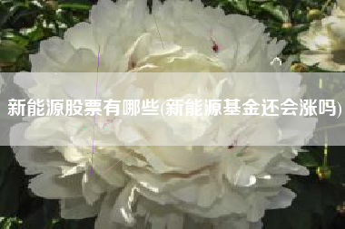 新能源股票有哪些(新能源基金还会涨吗)