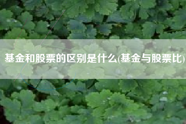 基金和股票的区别是什么(基金与股票比)