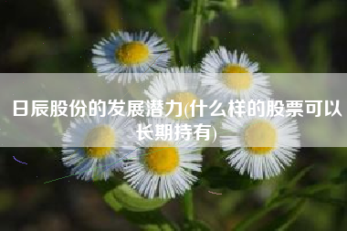 详细阅读:日辰股份的发展潜力(什么样的股票可以长期持有) 日辰股份的发展潜力(什么样的股票可以长期持有)