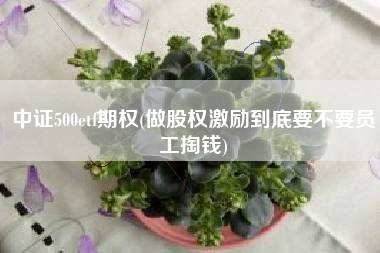 中证500etf期权(做股权激励到底要不要员工掏钱)