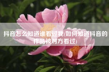 抖音怎么知道谁看过我(如何知道抖音的作品被对方看过)