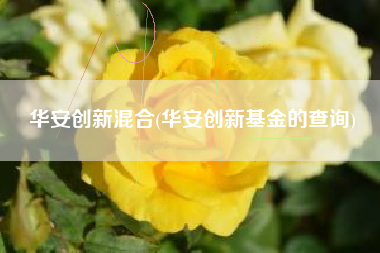 详细阅读:华安创新混合(华安创新基金的查询) 华安创新混合(华安创新基金的查询)